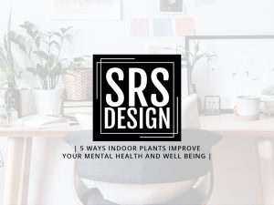 5 Ways indoor plants improve your mental health and well being